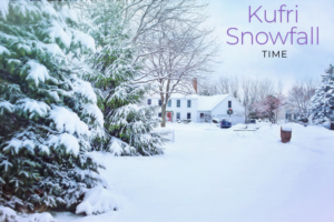 visit-kufri-for-snowfall