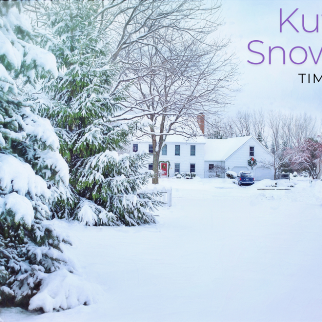 visit-kufri-for-snowfall