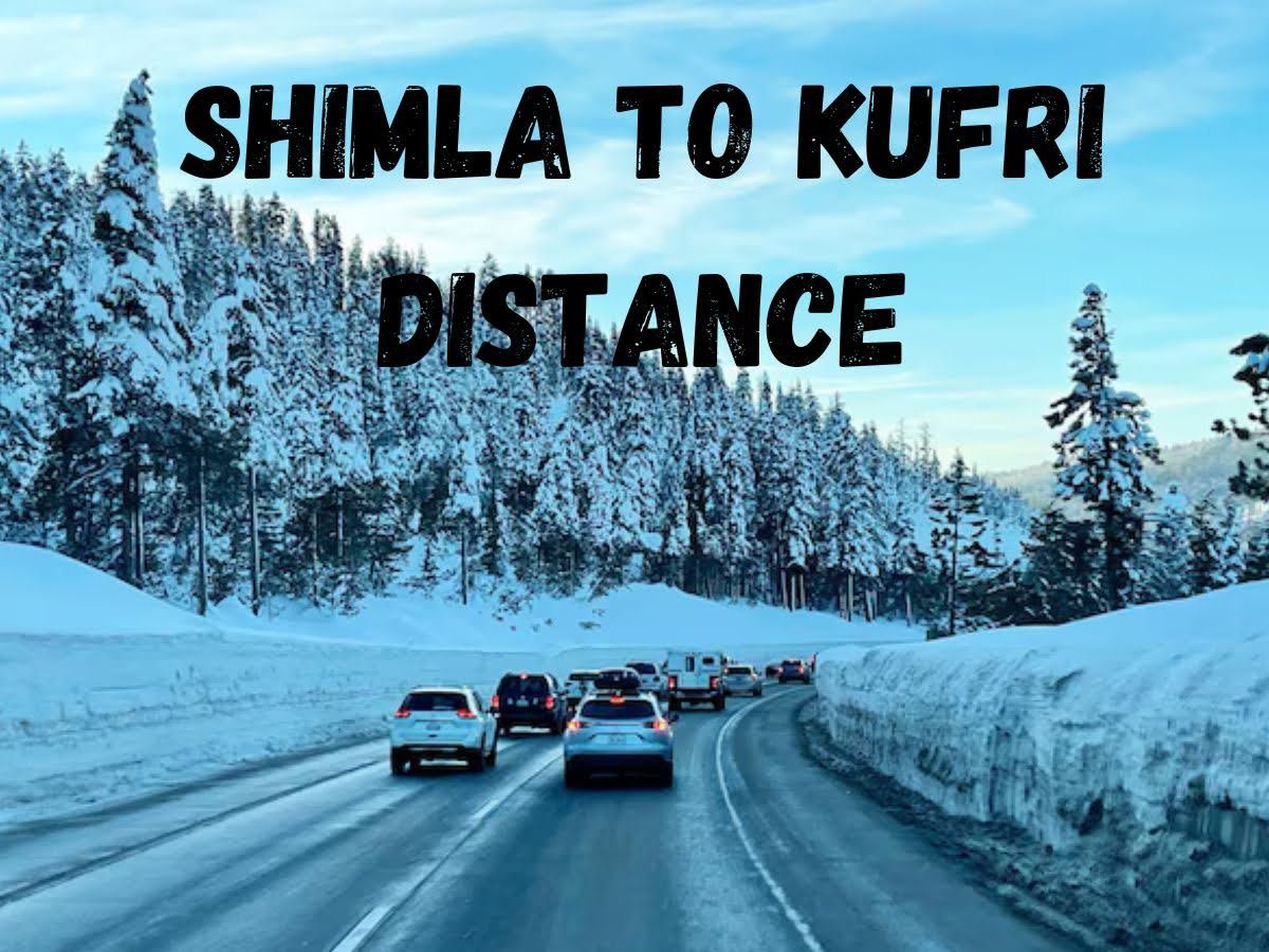 shimla to kufri distance