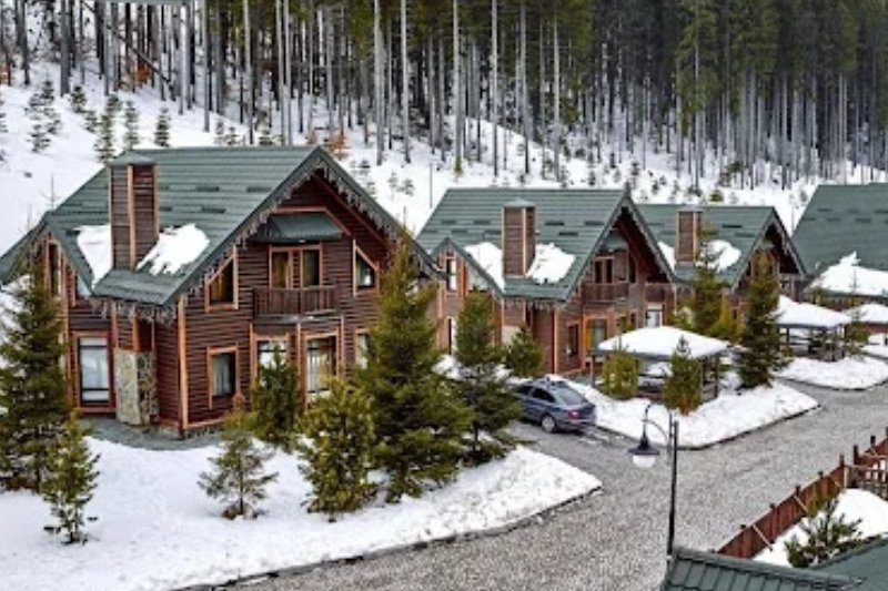 fagu-shimla