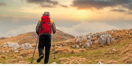 hiking and nature walks