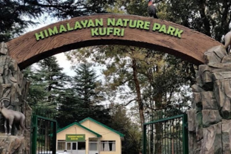 kufri zoo