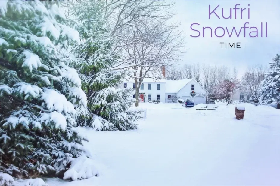 visit-kufri-for-snowfall