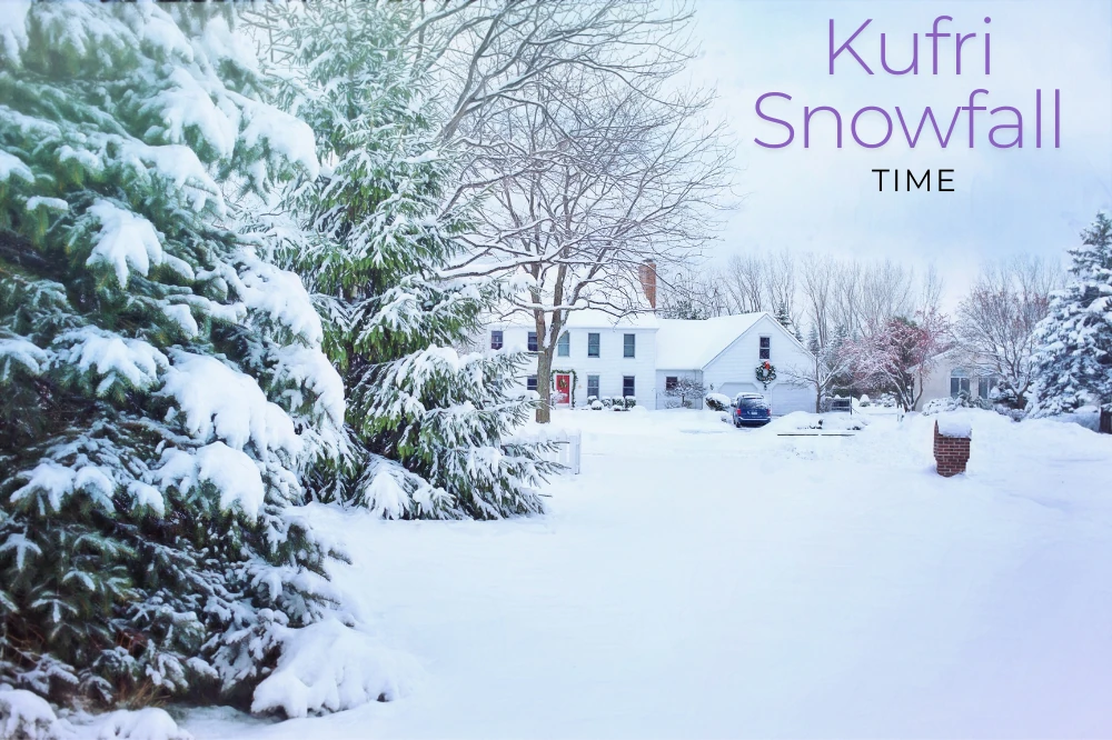 Best Time to Visit Kufri for Snowfall & Winter Fun: A Seasonal Guide